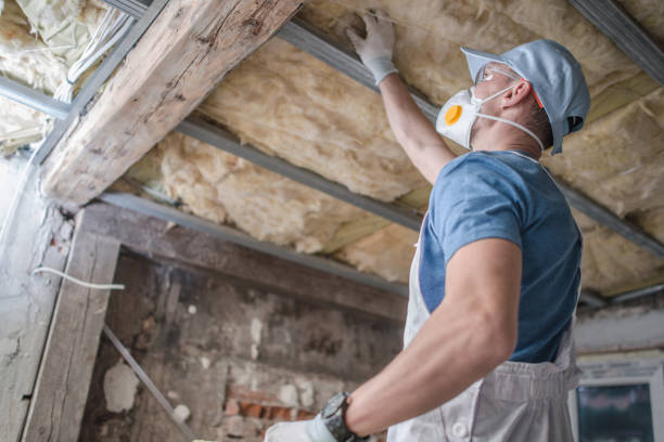 Best Specialty Insulation in Valley, NE